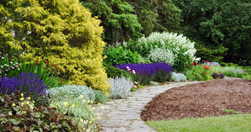 Landscaping San Antonio