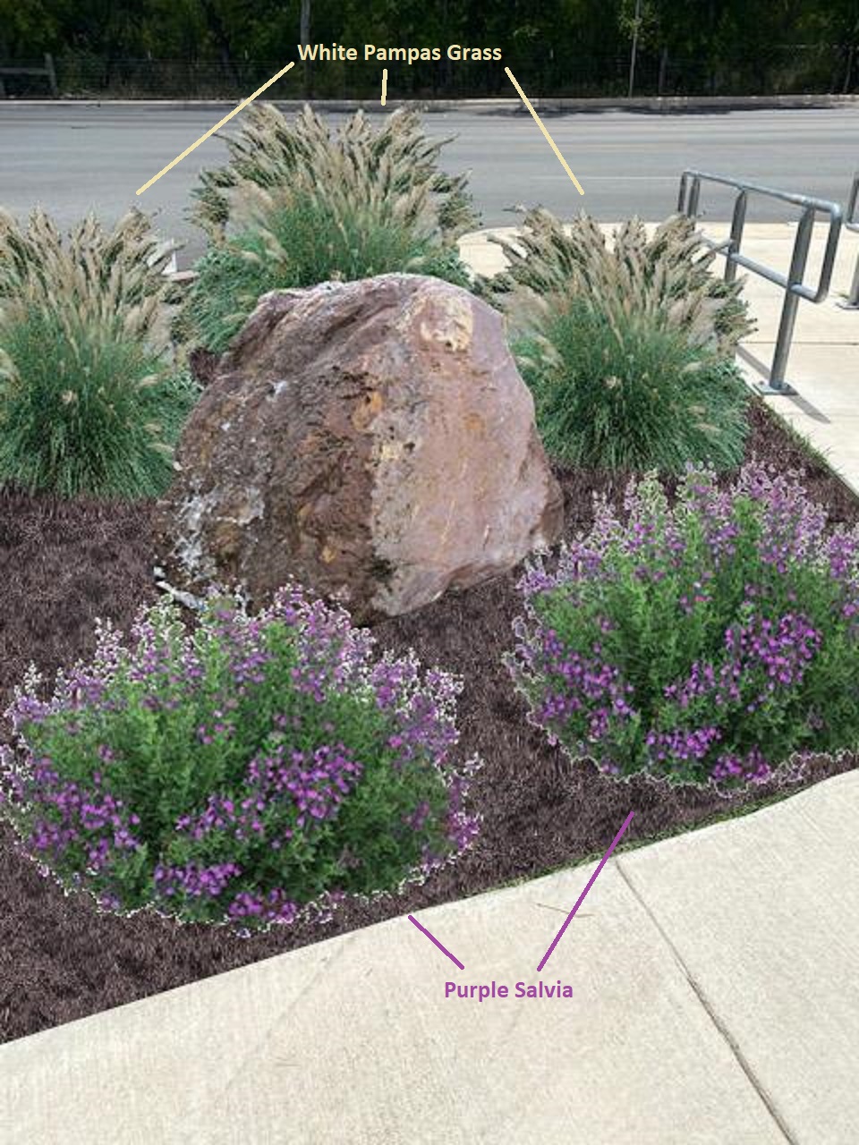 Landscape Design Work